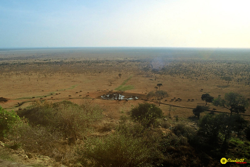 Africa Tsavo Kenya...