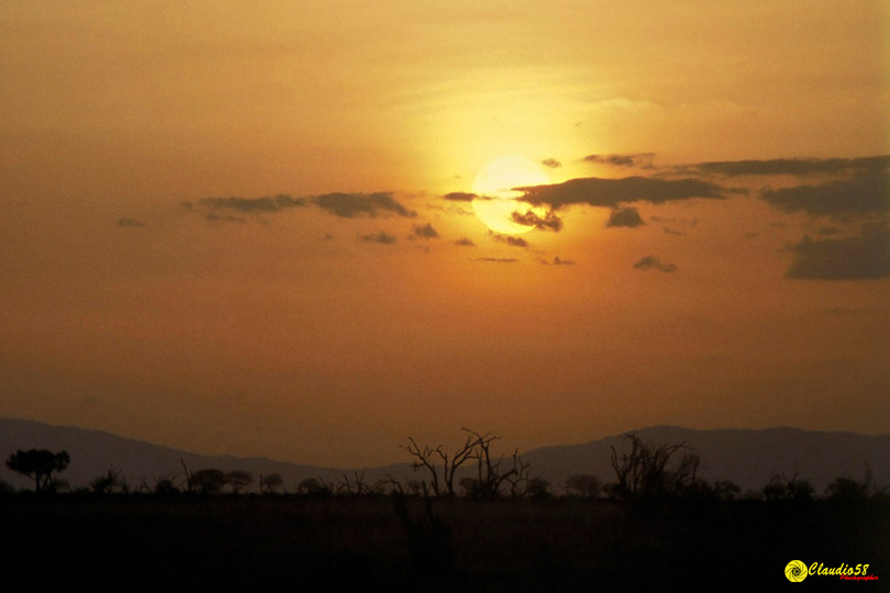 Africa Tsavo Kenya..