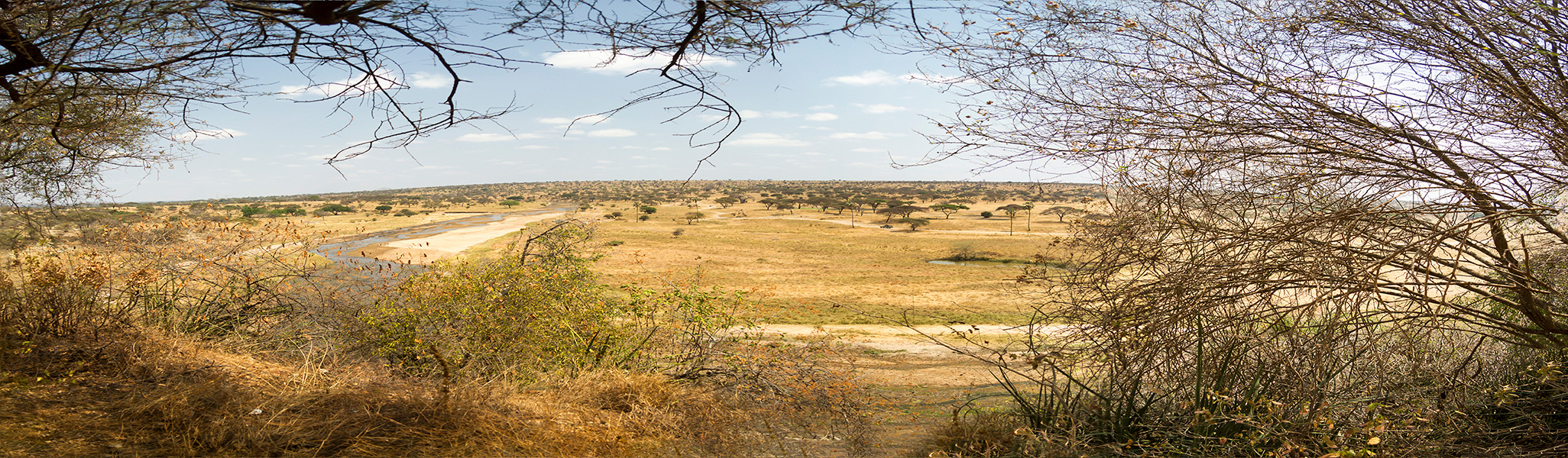 panorama Tarangire