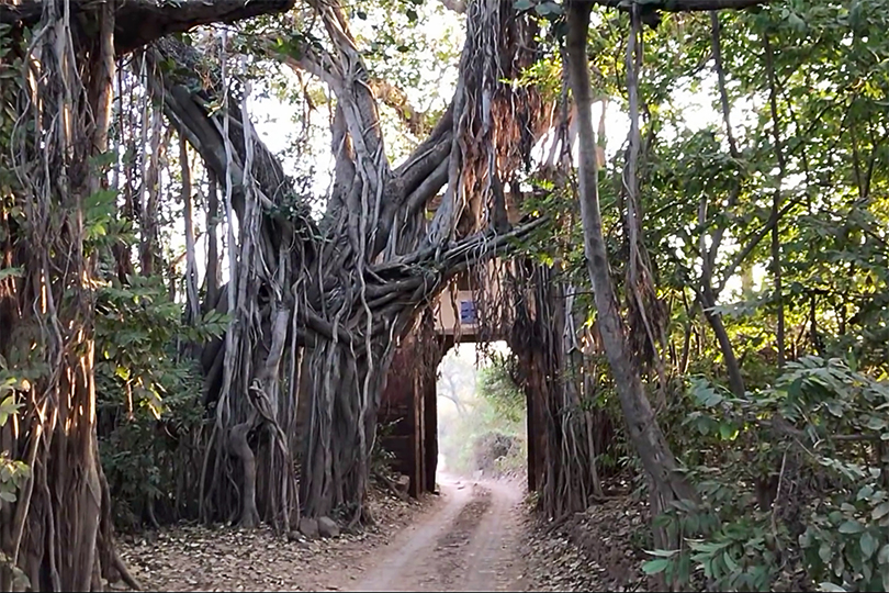 parco ranthambore