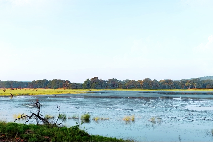 parco ranthambore