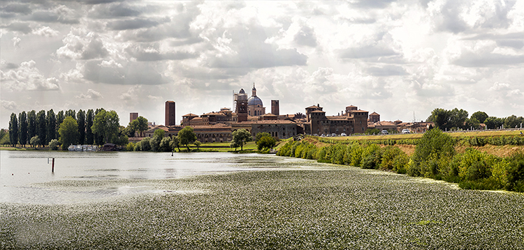 Oracolo della Sibilla Mantova